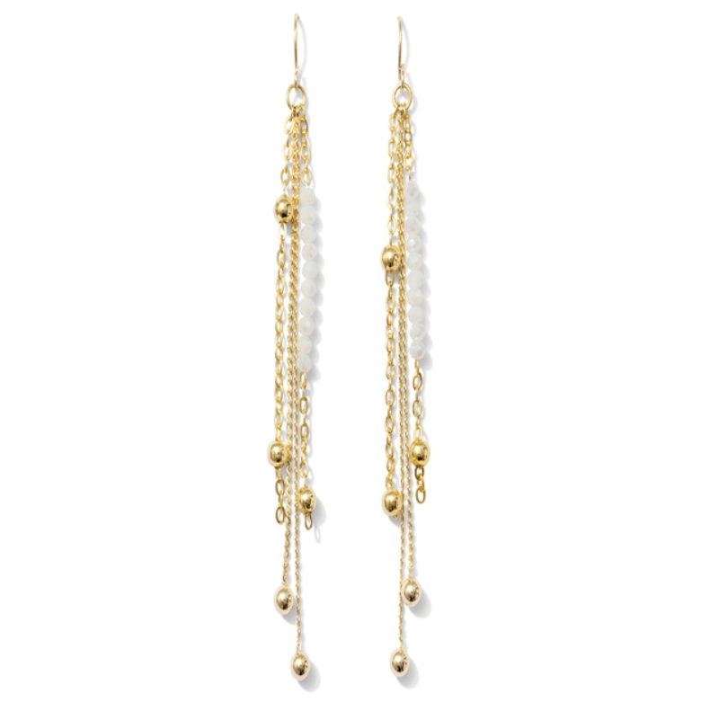 Long Dangle Earring