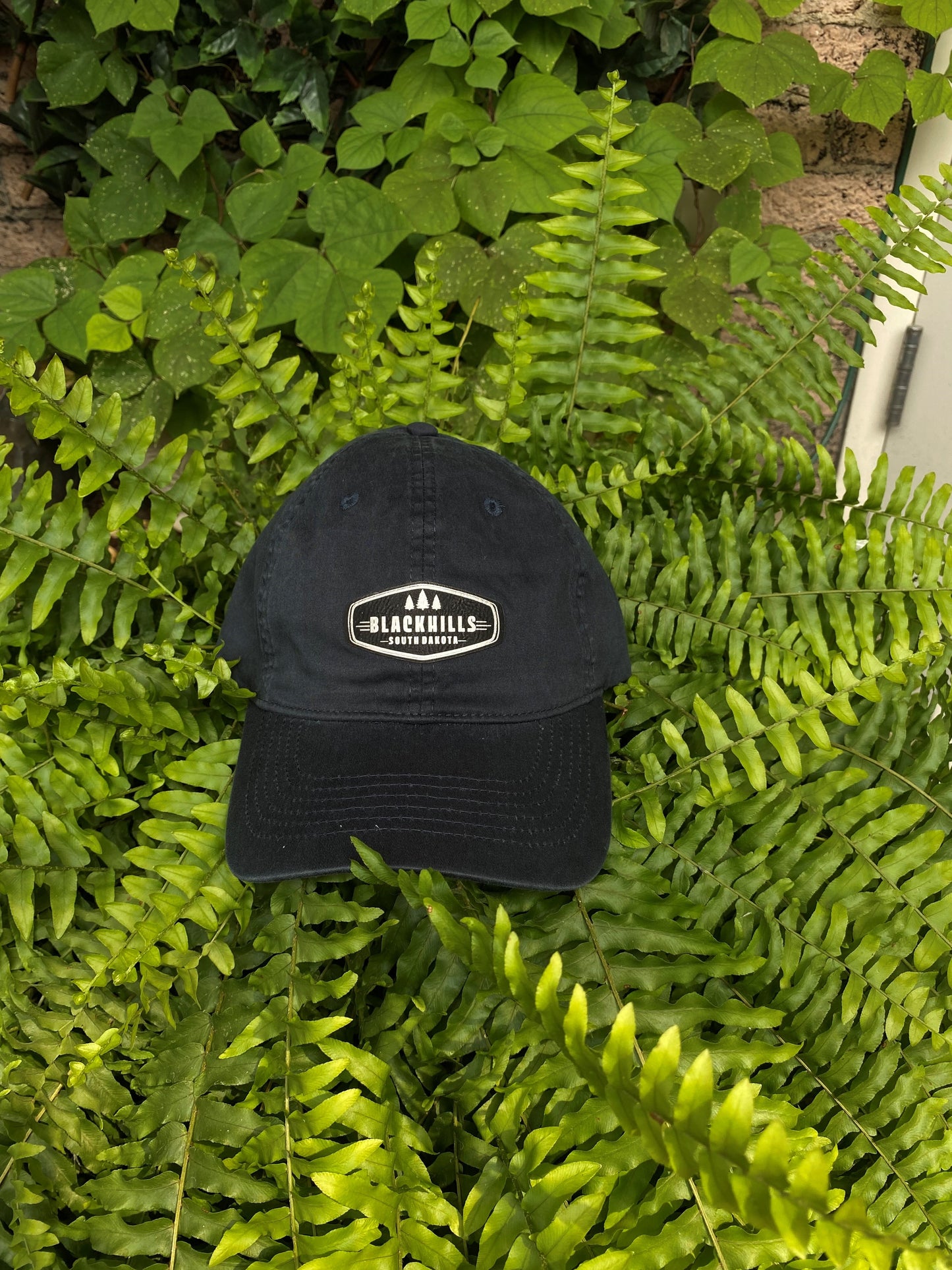 Black Hills Patch Hat